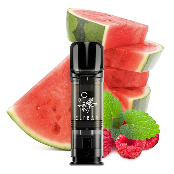 Elf Bar ELFA Pods Raspberry Watermelon 20mg – 2er Pack